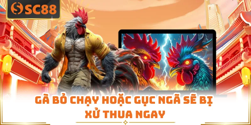 Gà bỏ chạy hoặc gục ngã sẽ bị xử thua ngay